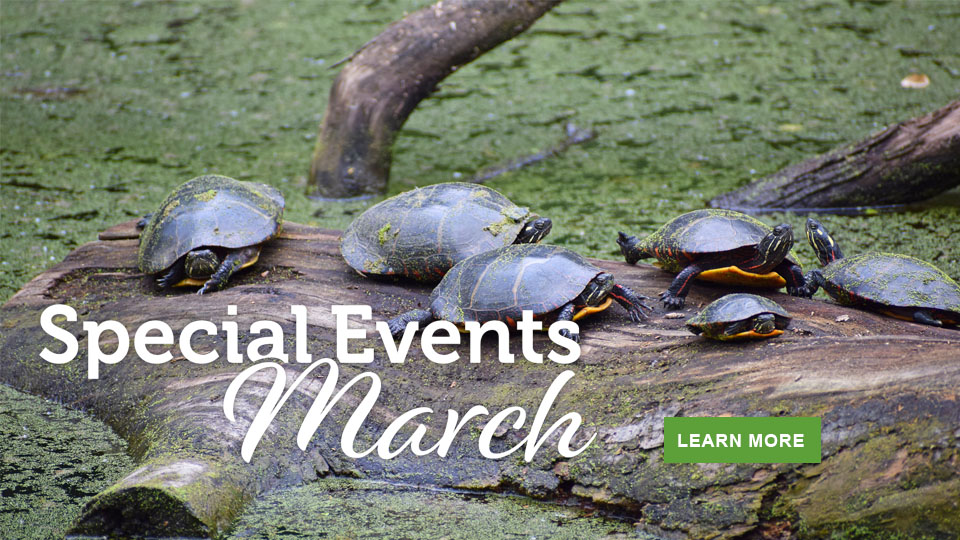 March events in Virginia State Parks